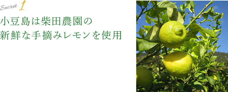 Secret1 小豆島は柴田農園の新鮮な手摘みレモンを使用