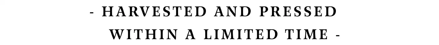 ONLY A COUPLE OF DAYS TO PICK OLIVES