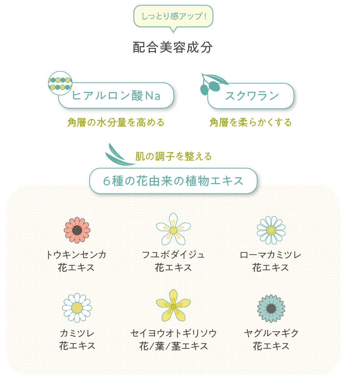 バージンオイルソープの配合美容成分