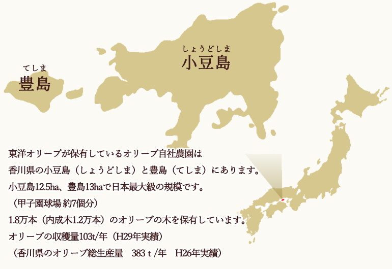 小豆島、豊島について