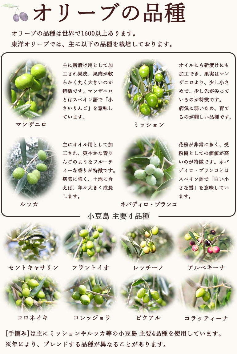 オリーブの品種