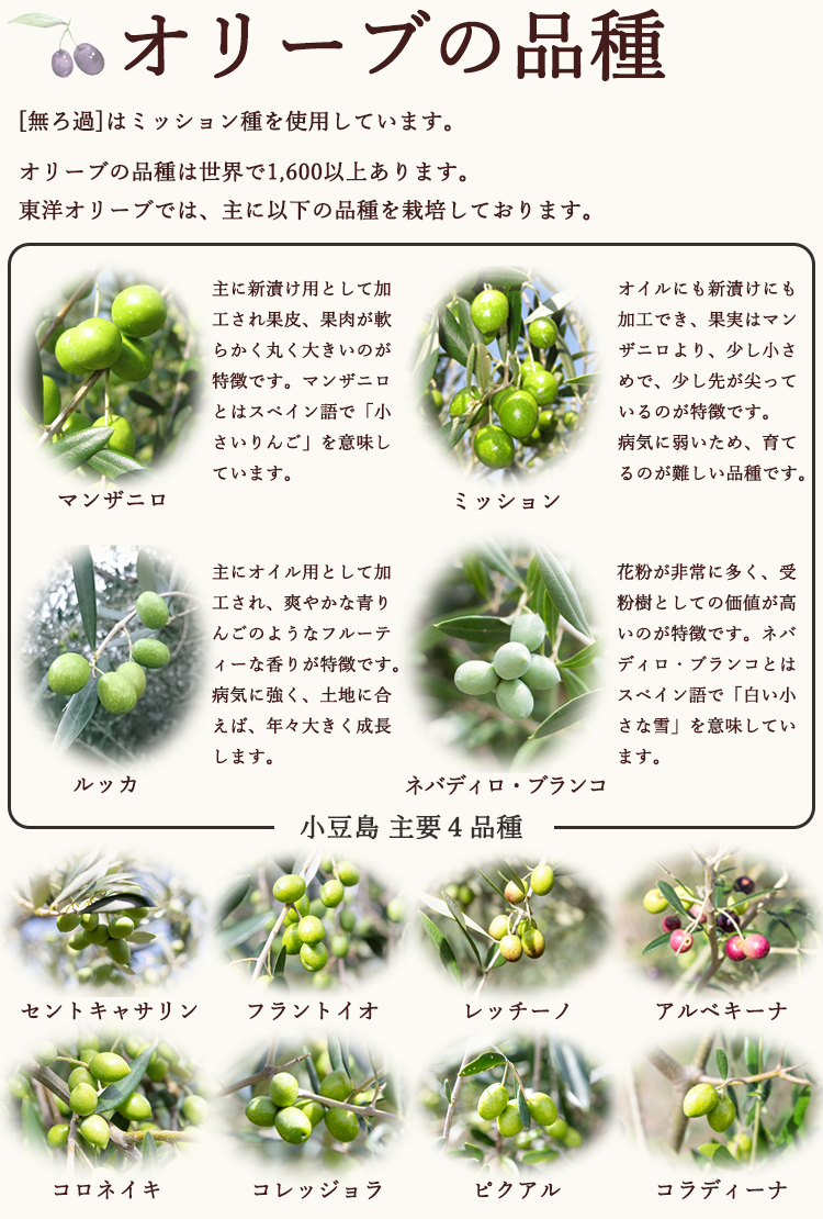 オリーブの品種