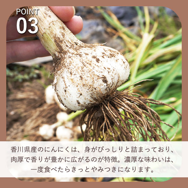 香川県産にんにく使用