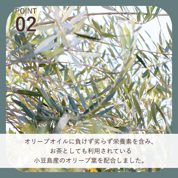 小豆島産オリーブ葉使用