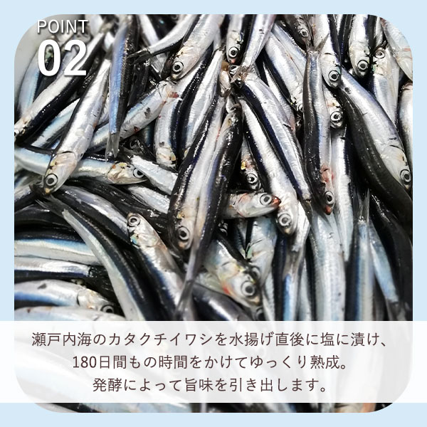 瀬戸内海産カタクチイワシのアンチョビ使用