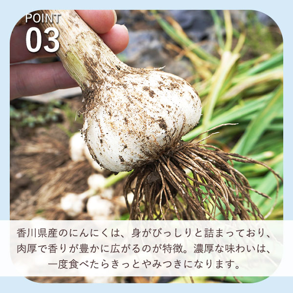 香川県産にんにく使用