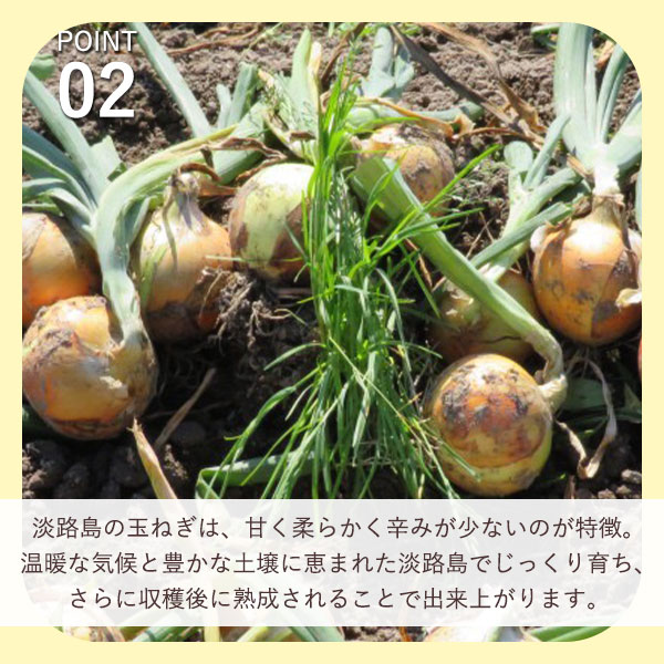 淡路島産玉ねぎ使用