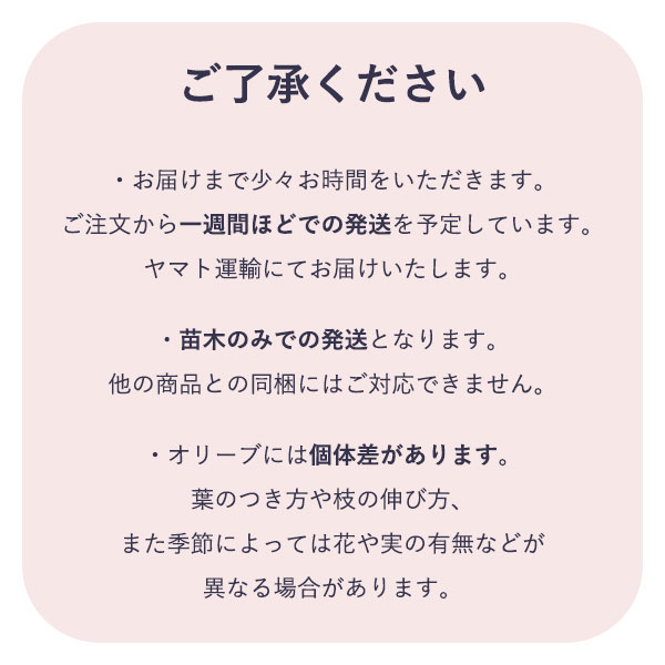 注意事項