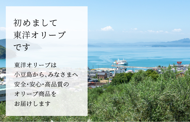 東洋オリーブについて