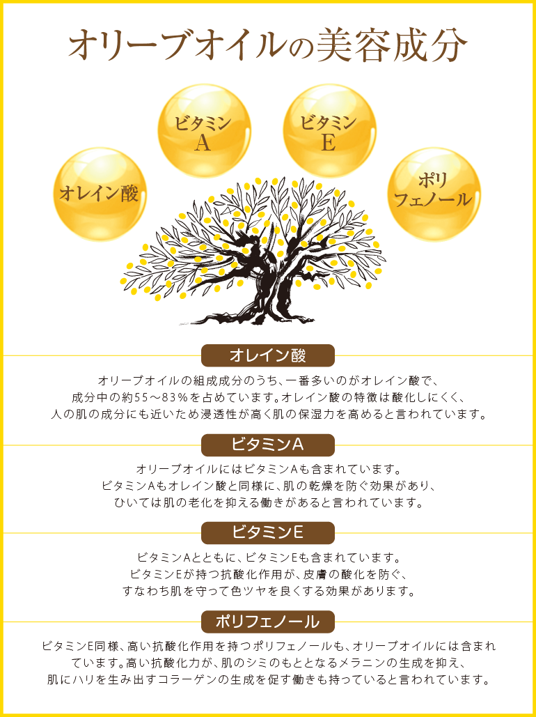 オリーブオイルの美容成分