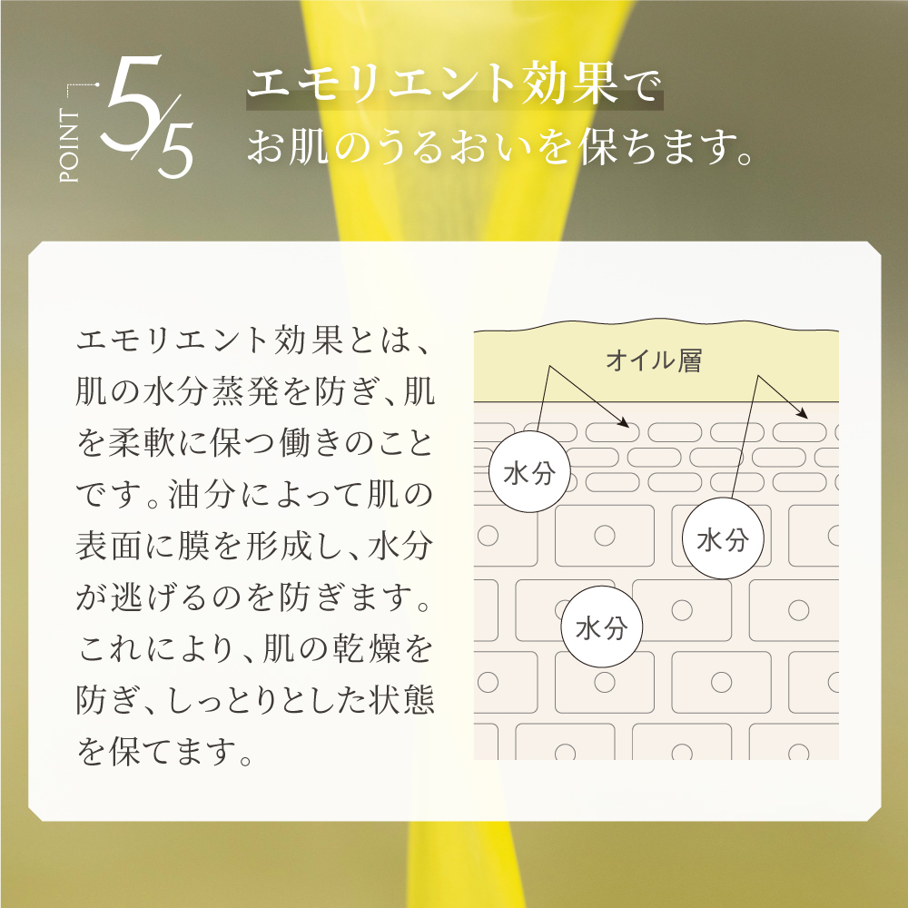エモリエント効果でお肌のうるおいを保ちます。