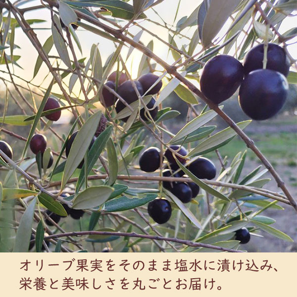 オリーブ果実をそのまま塩水に漬け込み、栄養と美味しさを丸ごとお届け。