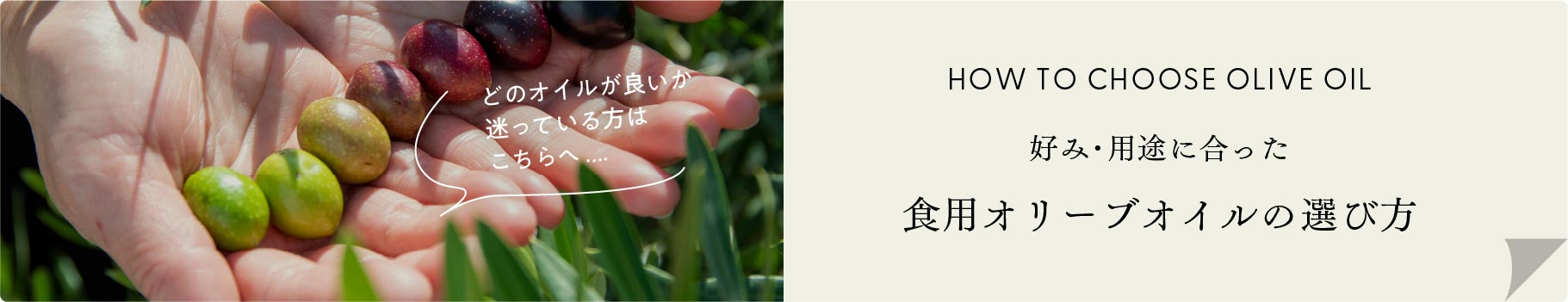 食用オリーブオイルの選び方