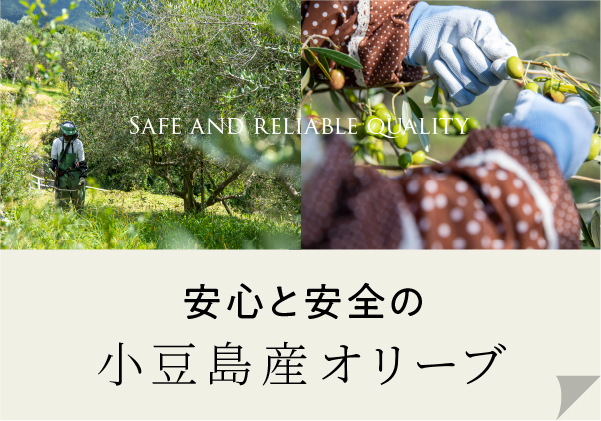 安心と安全の小豆島産オリーブ