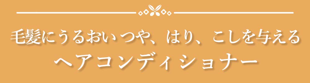 見出し:毛髪にうるおい つや、はり、こしを与えるヘアコンディショナー