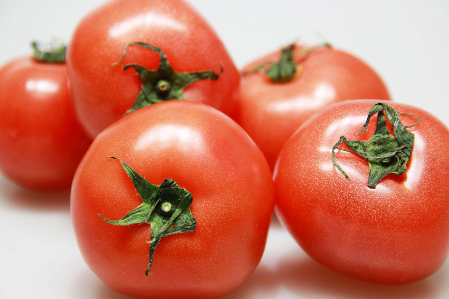 国産トマト使用