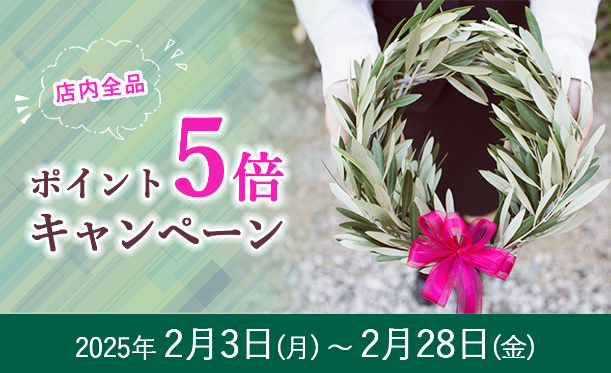 ポイントアップキャンペーン