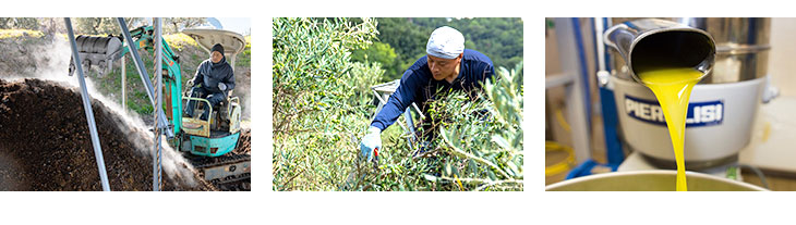 社員の想いとアイディアを活かして様々なオリーブ加工食品を生み出しています。