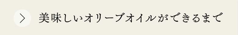 開くボタン