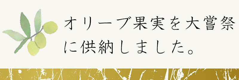 オリーブ果実を大嘗祭に供納しました