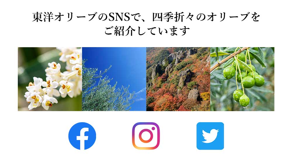 東洋オリーブのSNS