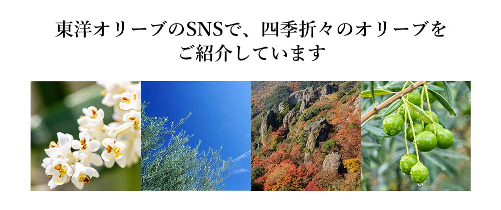 東洋オリーブのSNS